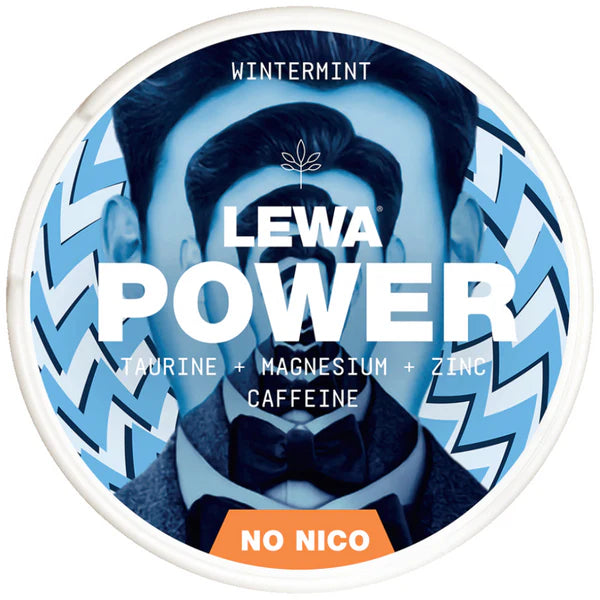 LEWA POWER | WINTERMINT ENERGY POUCH | 50mg