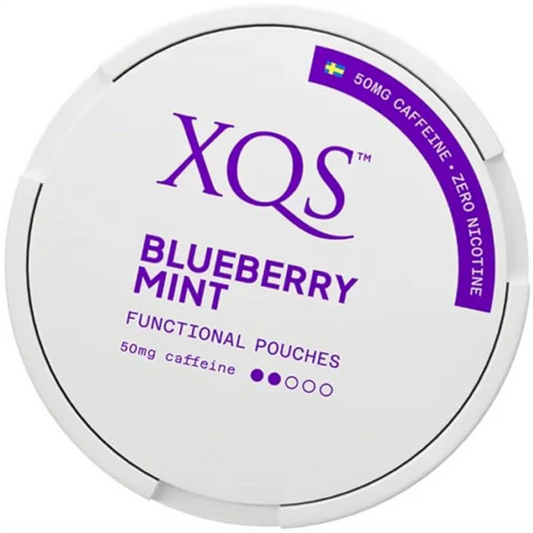 XQS | BLUEBERRY MINT ENERGY POUCH | 50mg